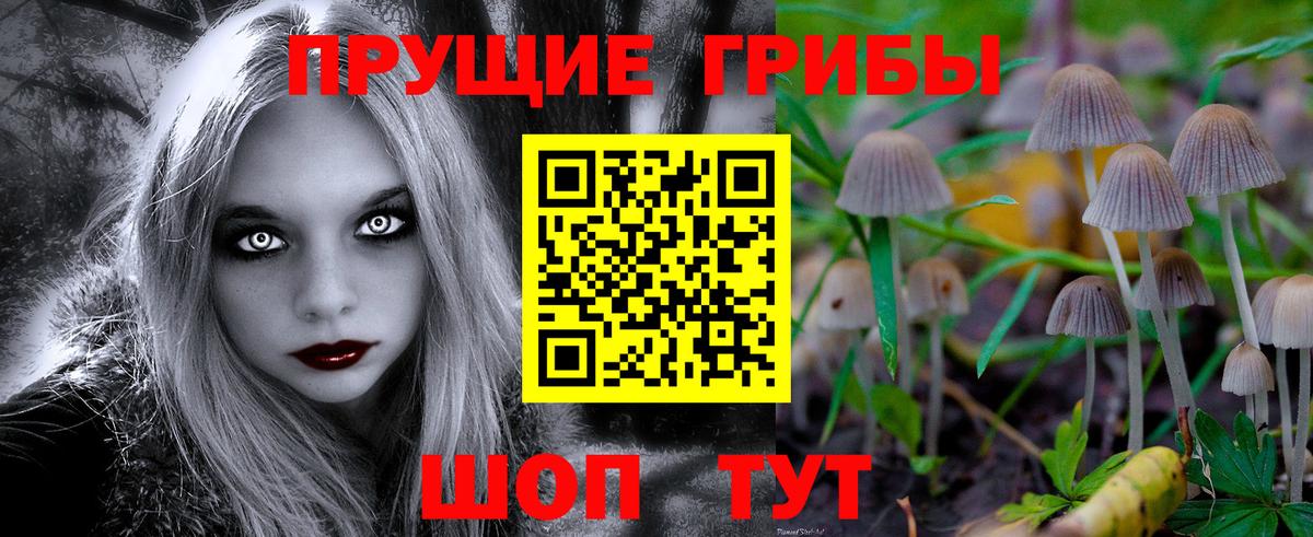Псилоцибиновые грибы прущие грибы  Вход с VPN  Барнаул 